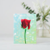 Red Rose Briefkaart (Staand voorkant)