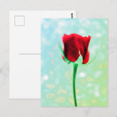 Red Rose Briefkaart (Voorkant / Achterkant)