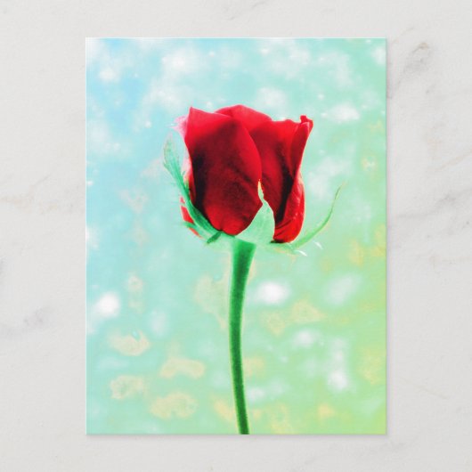 Red Rose Briefkaart (Voorkant)
