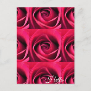 Red Rose Briefkaart