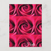 Red Rose Briefkaart (Voorkant)