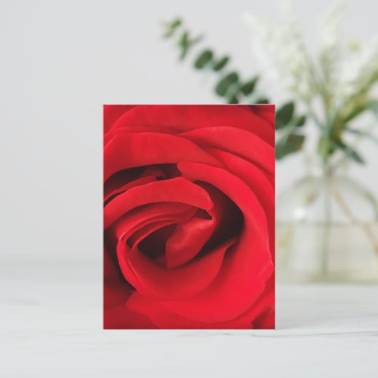 Red Rose Briefkaart (Staand voorkant)