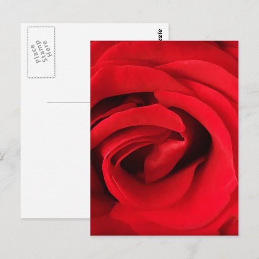 Red Rose Briefkaart (Voorkant / Achterkant)