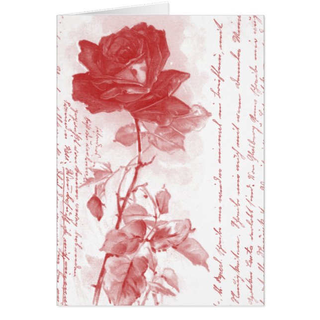 Red Rose Briefkaart Design (Voorkant)