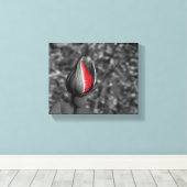 Red Rose Bud Canvas (Insitu (Houten vloer))