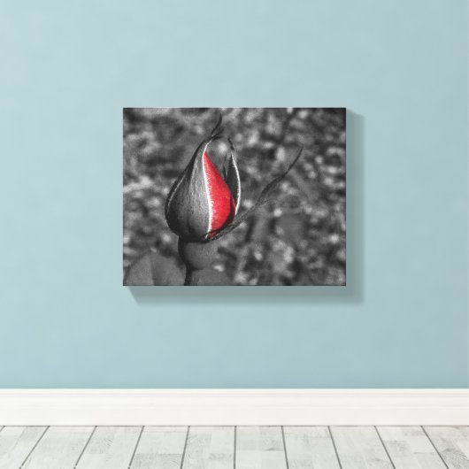 Red Rose Bud Canvas (Insitu (Houten vloer))
