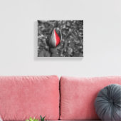Red Rose Bud Canvas Afdruk (Insitu (Woonkamer))