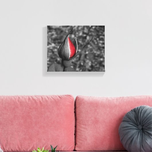 Red Rose Bud Canvas Afdruk (Insitu (Woonkamer))