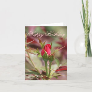 Red Rose Bud Happy Birthday Card Kaart