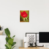 Red Rose Bud Photographic Art Afdrukken Poster (Thuiskantoor)