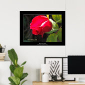 Red Rose Bud Poster (Thuiskantoor)