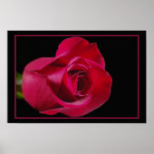 Red Rose Bud Print (Voorkant)