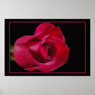 Red Rose Bud Print
