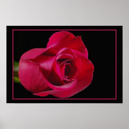 Red Rose Bud Print (Voorkant)