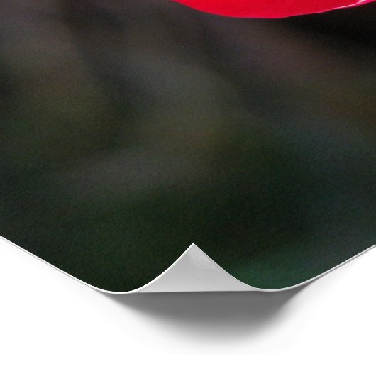 Red Rose Bud Print - Selecteer je Lijst (Hoek)