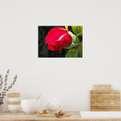 Red Rose Bud Print - Selecteer je Lijst (Keuken)