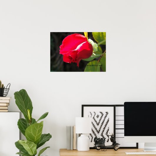 Red Rose Bud Print - Selecteer je Lijst (Thuiskantoor)