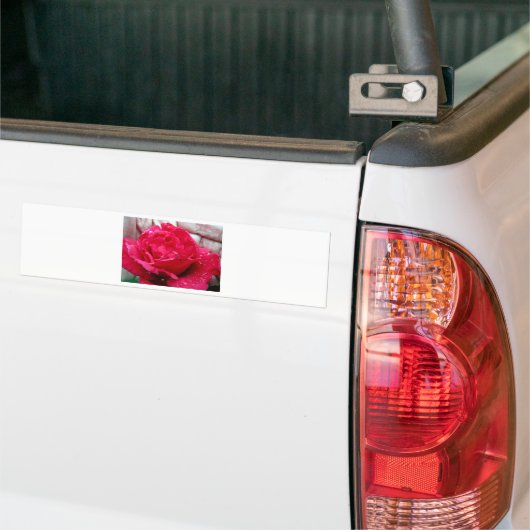 Red Rose Bumpersticker (Op Truck)
