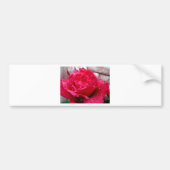 Red Rose Bumpersticker (Voorkant)