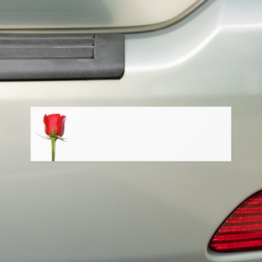 Red Rose Bumpersticker (Op auto)