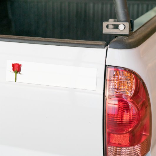 Red Rose Bumpersticker (Op Truck)