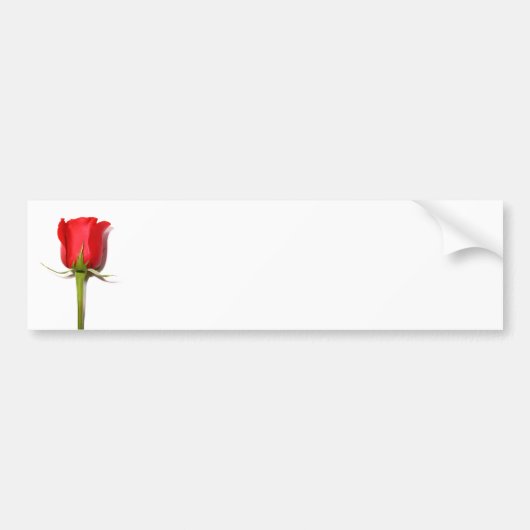 Red Rose Bumpersticker (Voorkant)