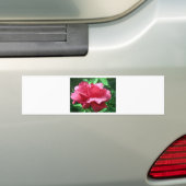 Red Rose Bumpersticker (Op auto)