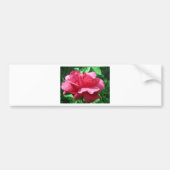 Red Rose Bumpersticker (Voorkant)