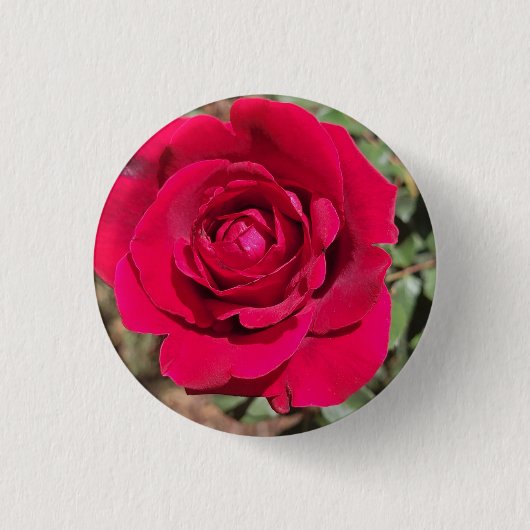 Red Rose Button (Voorkant)