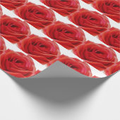 Red Rose Cadeaupapier (Hoek)