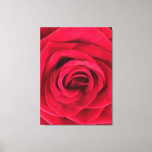 Red Rose Canvas Afdruk (Voorkant)