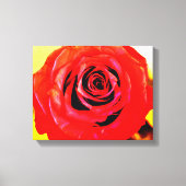 Red Rose Canvas Afdruk (Voorkant)