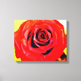 Red Rose Canvas Afdruk