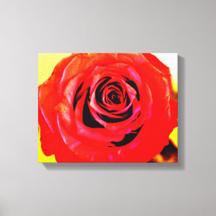 Red Rose Canvas Afdruk