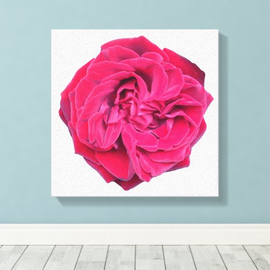 Red Rose Canvas Afdruk (Insitu (Houten vloer))