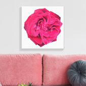 Red Rose Canvas Afdruk (Insitu (Woonkamer))