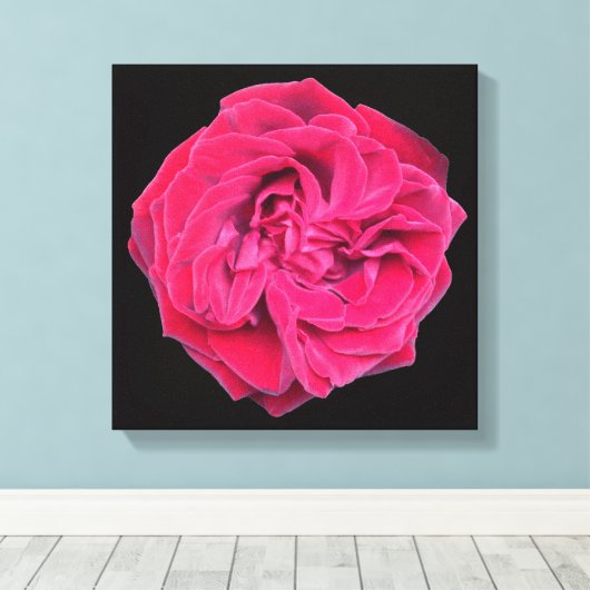 Red Rose Canvas Afdruk (Insitu (Houten vloer))