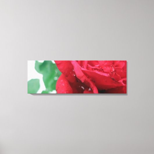 Red Rose Canvas Afdruk (Voorkant)