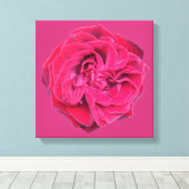 Red Rose Canvas Afdruk (Insitu (Houten vloer))