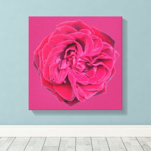 Red Rose Canvas Afdruk (Insitu (Houten vloer))