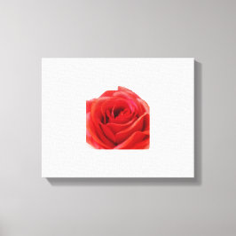 Red Rose Canvas Afdruk
