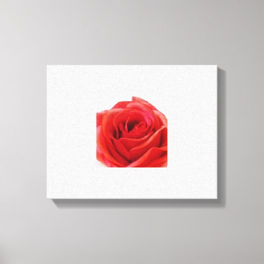 Red Rose Canvas Afdruk (Voorkant)