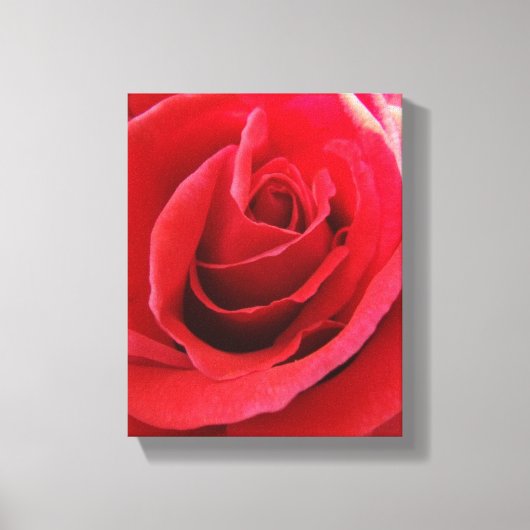 Red Rose Canvas Afdrukken (Voorkant)