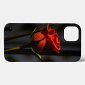Red Rose Case-Mate iPhone Case (Achterkant (horizontaal))