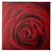 Red Rose Ceramic Tile Tegeltje (Voorkant)