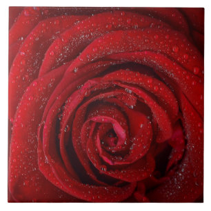 Red Rose Ceramic Tile Tegeltje