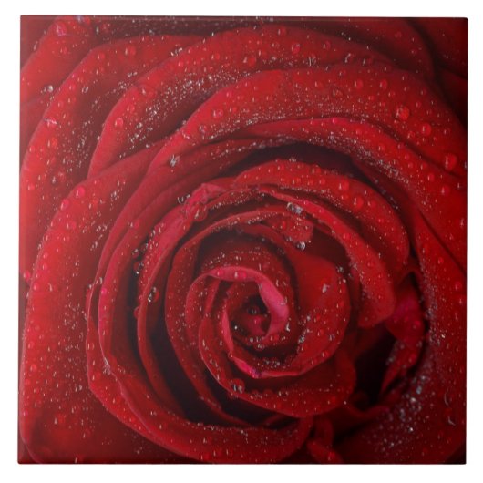 Red Rose Ceramic Tile Tegeltje (Voorkant)