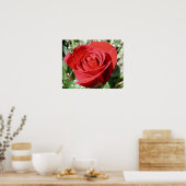 Red Rose Close Print (Keuken)