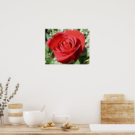 Red Rose Close Print (Keuken)