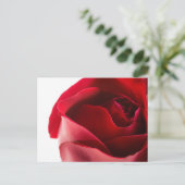 Red Rose Close-up Briefkaart (Staand voorkant)